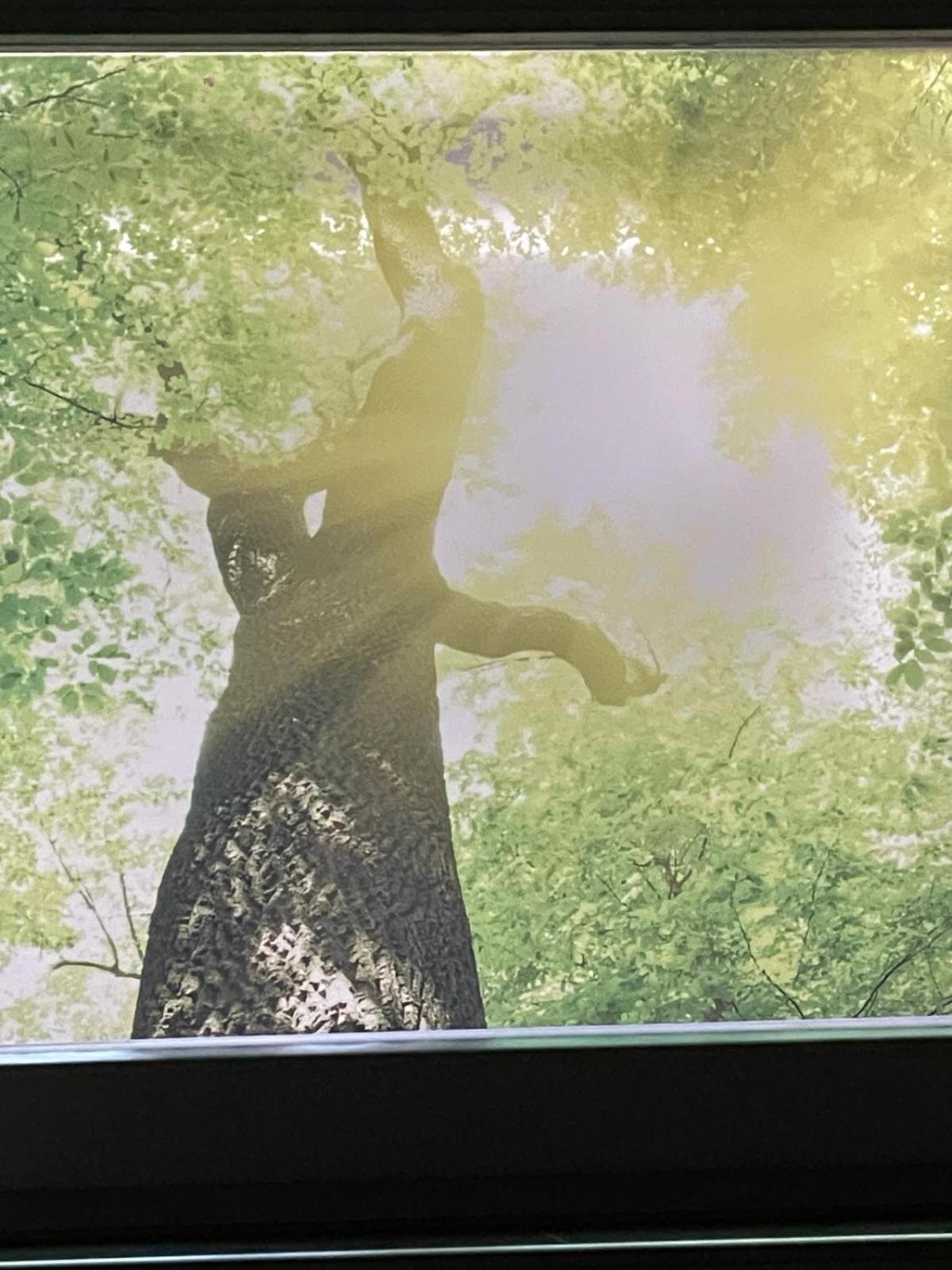 Zumglueckfrei Daire Passau Dış mekan fotoğraf