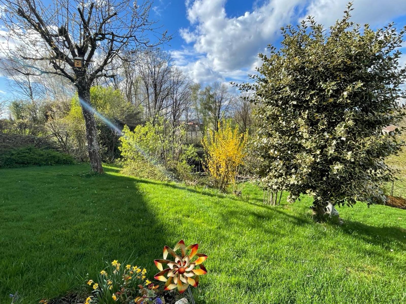 Zumglueckfrei Daire Passau Dış mekan fotoğraf
